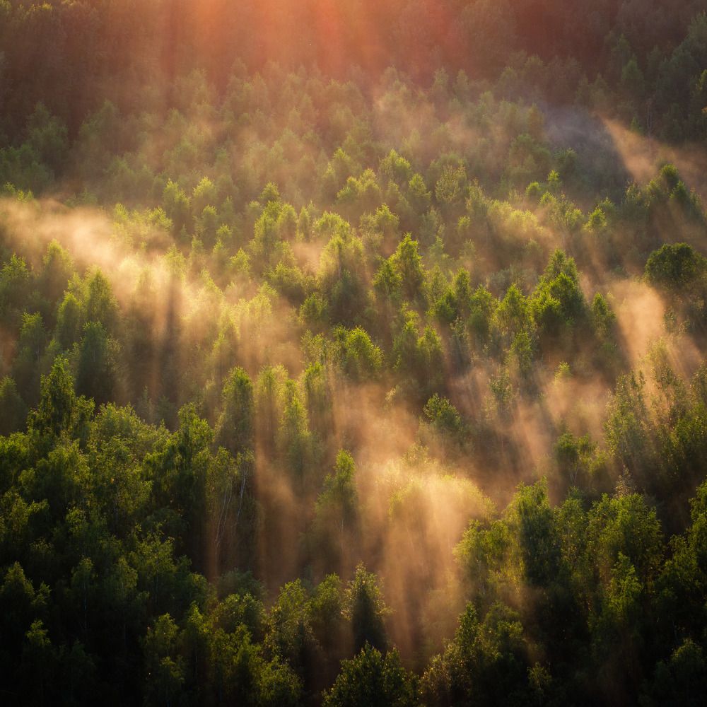 Летние туманы...