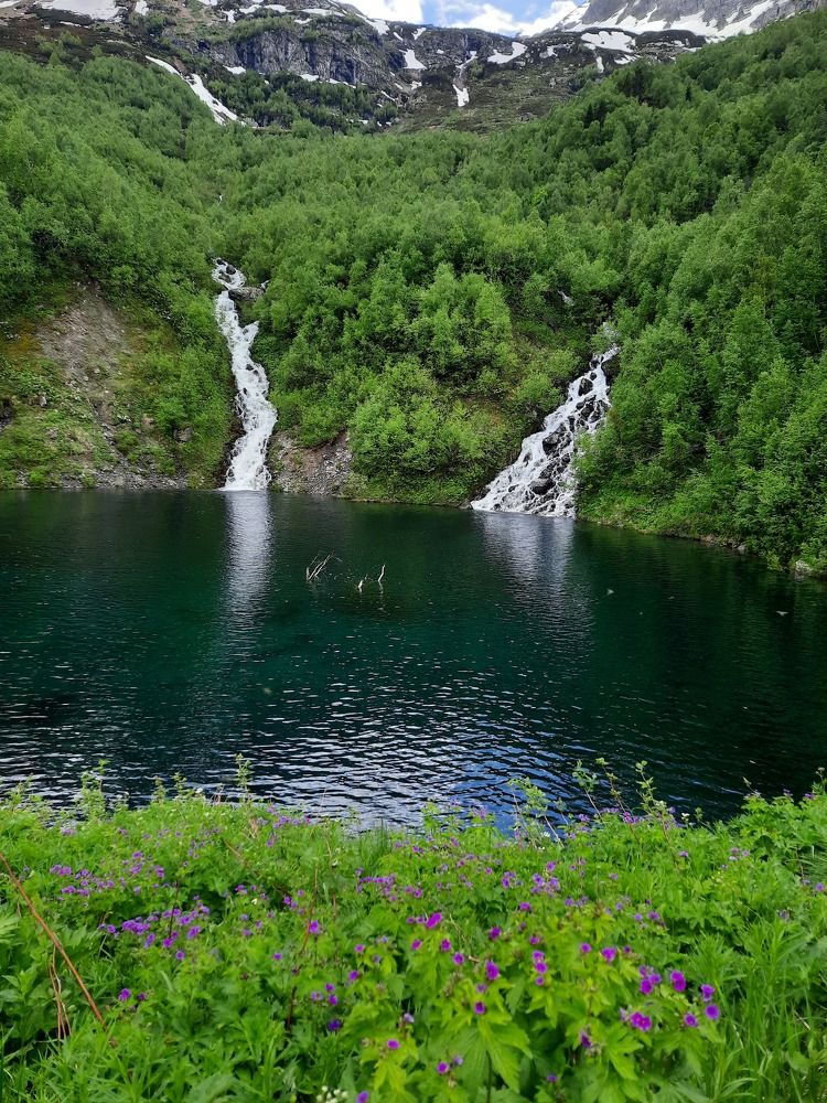 Photograph by Елена Валерьевна