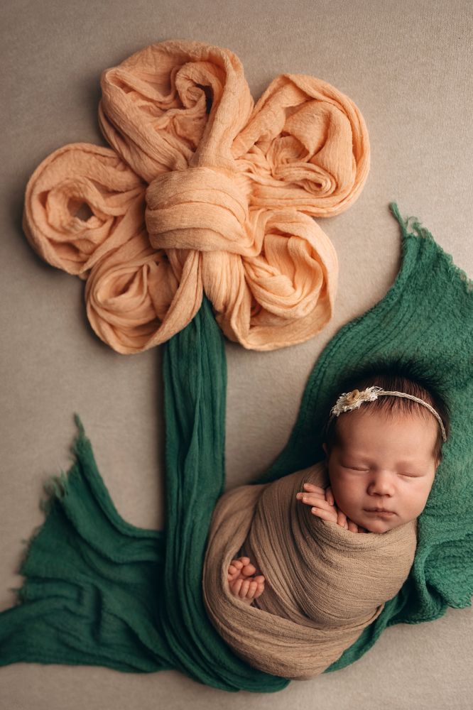 Photograph by Елена Зуйкова