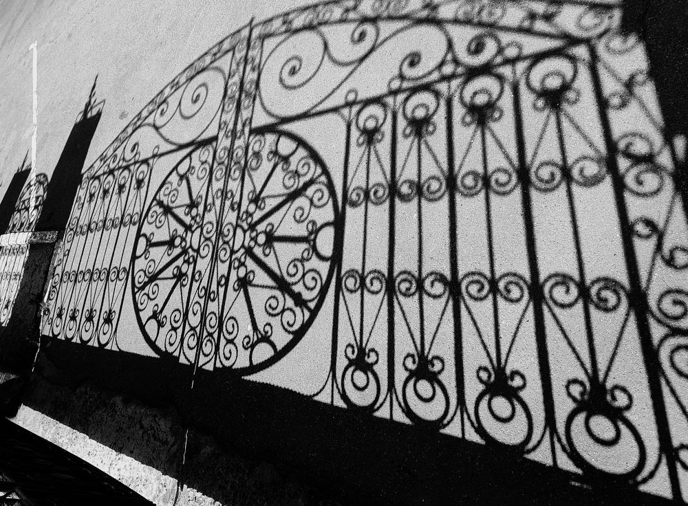 Photograph by Марина Канавченко