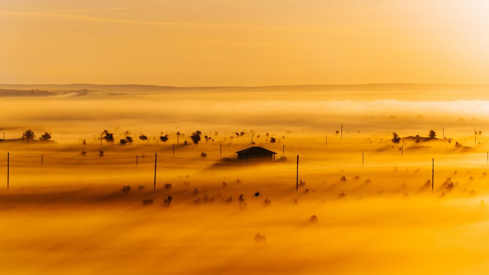 Photograph by Дмитрий