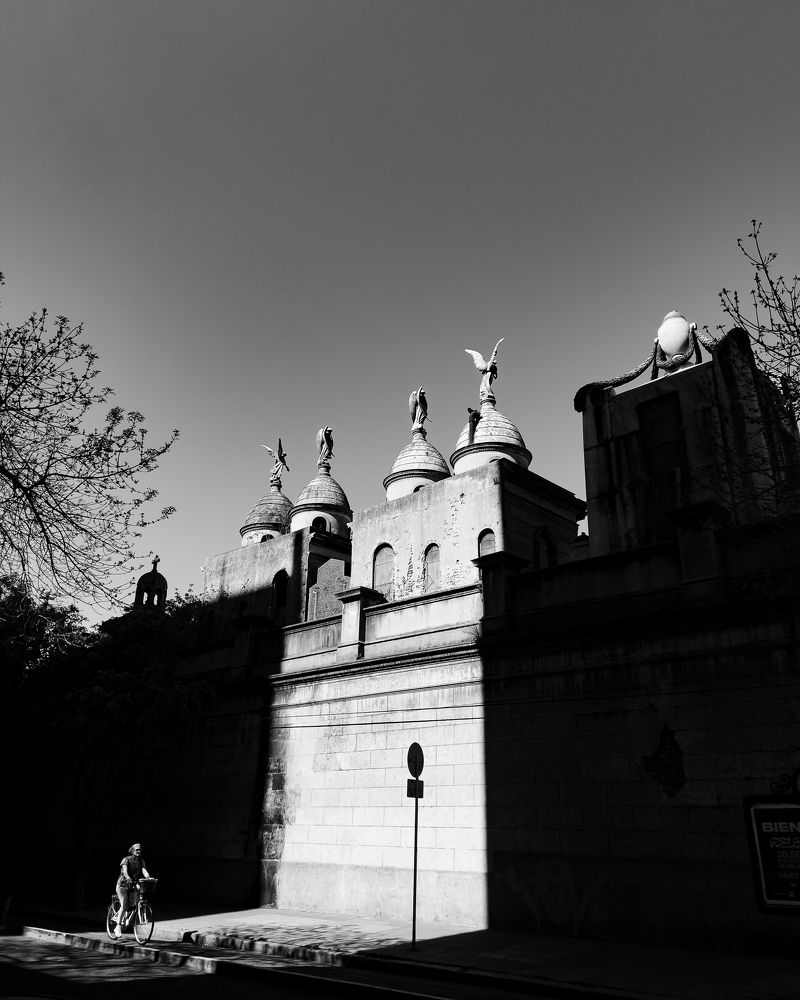 Photograph by Alonzo Contreras