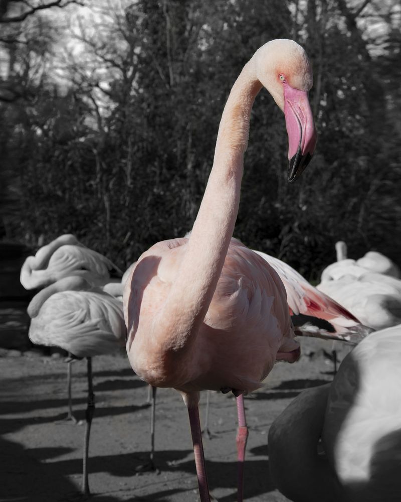 Photograph by Денис