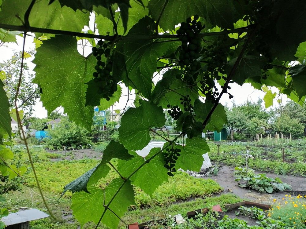 Photograph by Павел Дегтярев