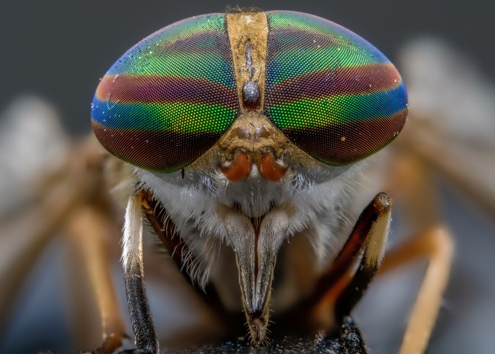 Photograph by Renato Fernandes Bandeira