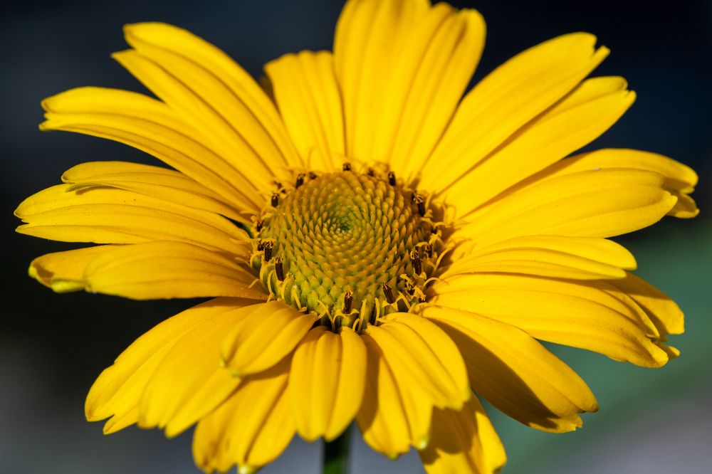 Photograph by Алексей Миронов