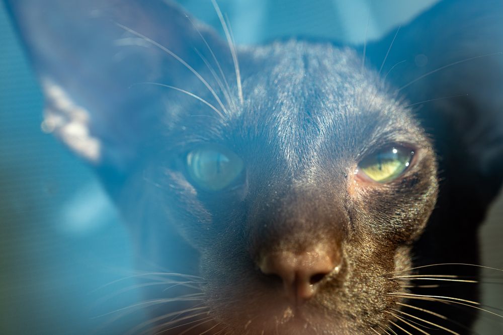 Photograph by Алексей Миронов