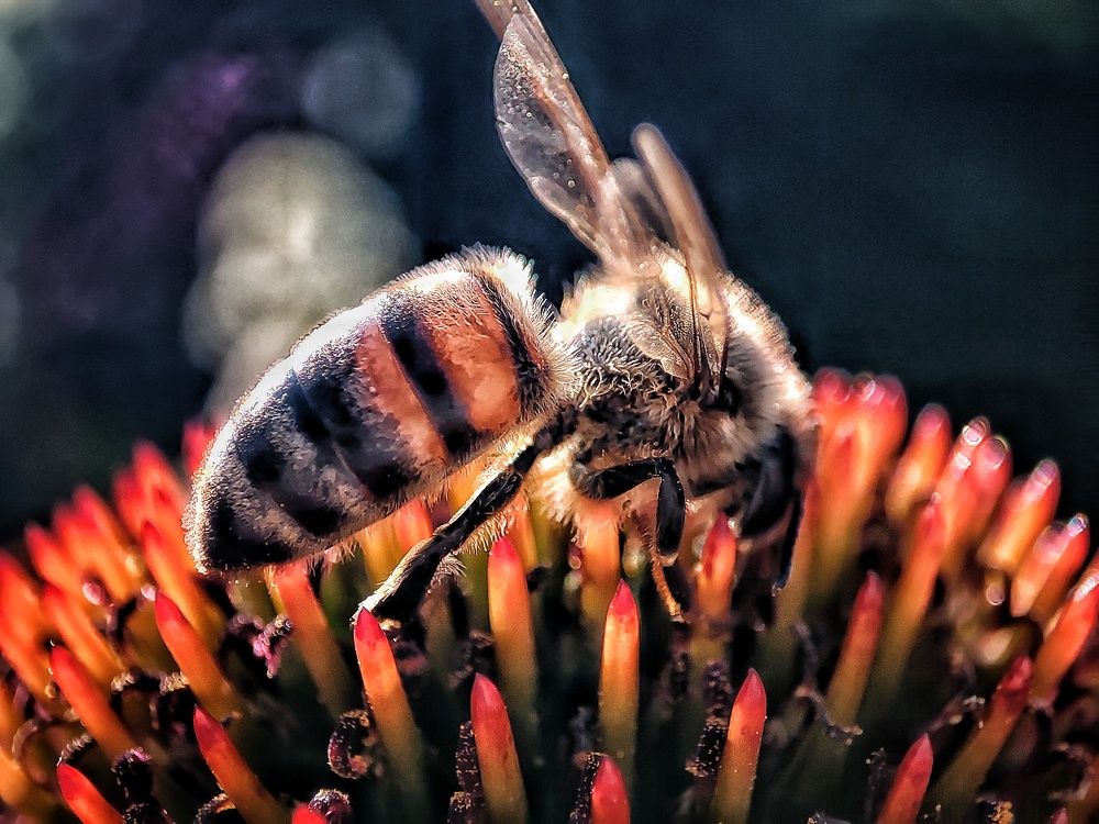 Photograph by Anastasia Malyukova