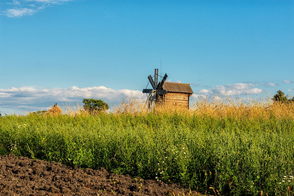 Photograph by Владимир Ушаров