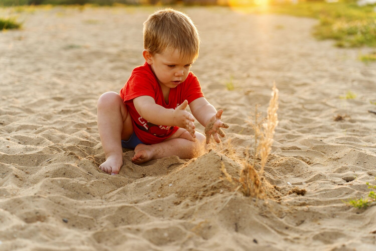 Photo #11033745