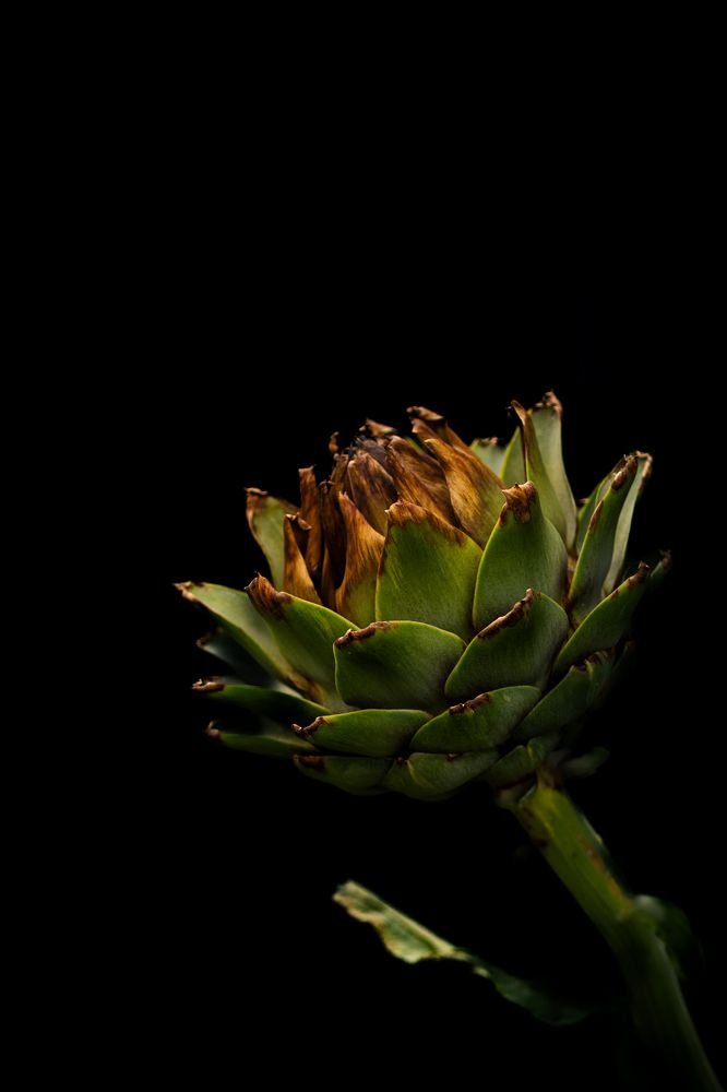 Photograph by Вероника