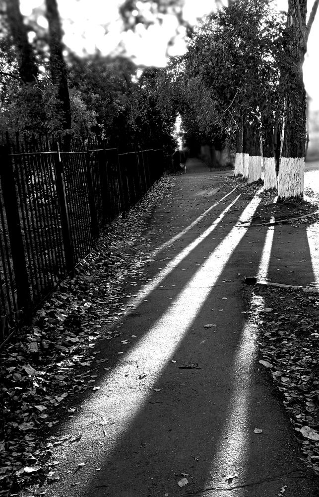 Photograph by Дмитрий Петренко