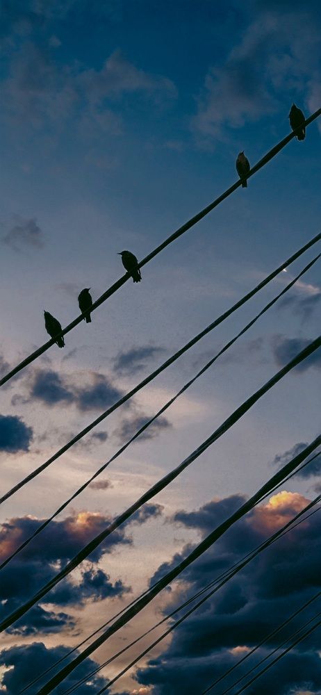 Photograph by Оксана Бессчетнова