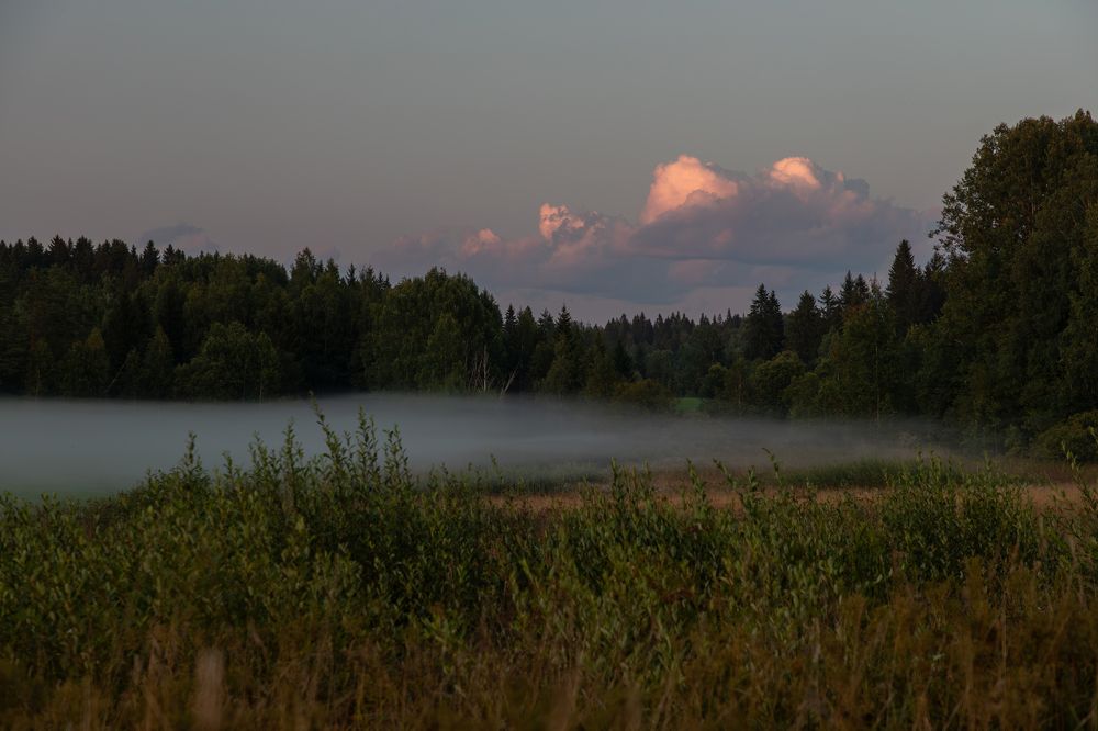 Photograph by Юлия Яковлева