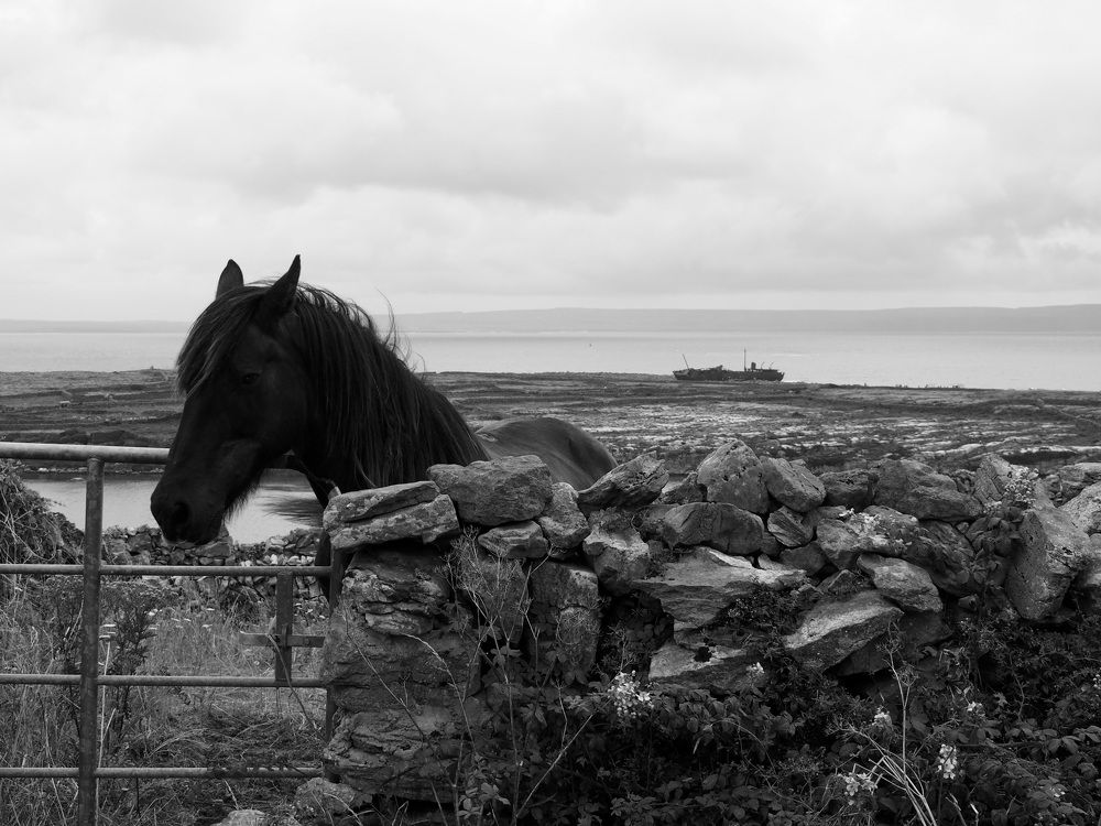 Photograph by Francesca Falgari