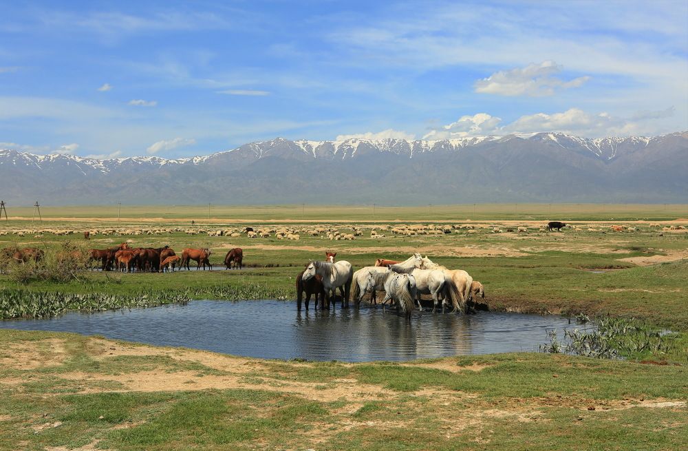 Photograph by Ирина Сушко