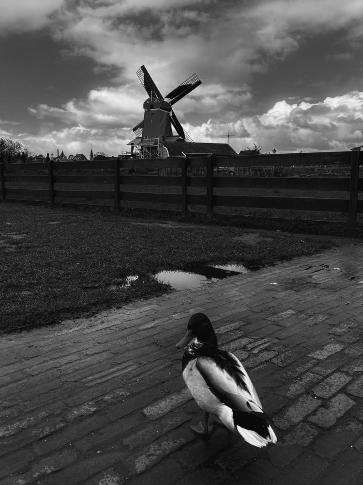 Photograph by Елизавета