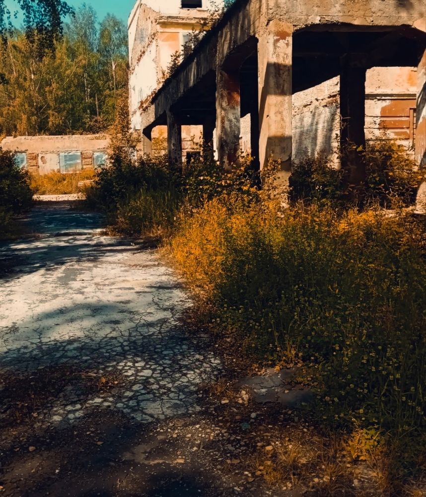 Photograph by Ярослав Рудаков