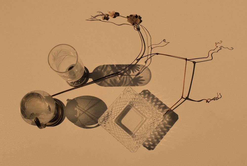 Фотография автора Шипунова Ирина