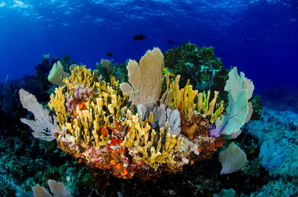 Photograph by Santiago Estrada R