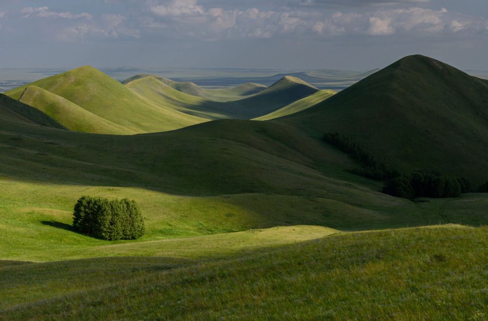"Шопот зелёных холмов"