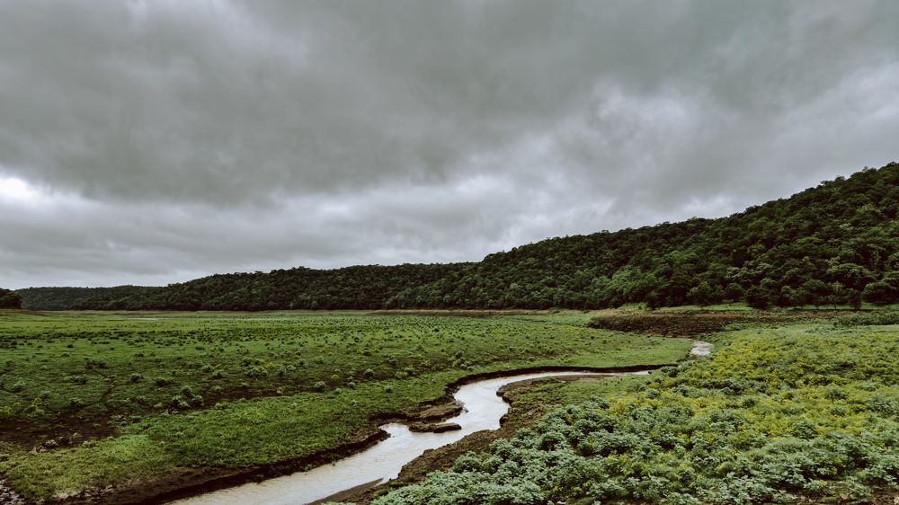 Photograph by Pranav Pula