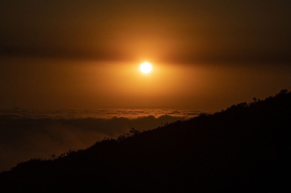 Photograph by Yenia Leyva