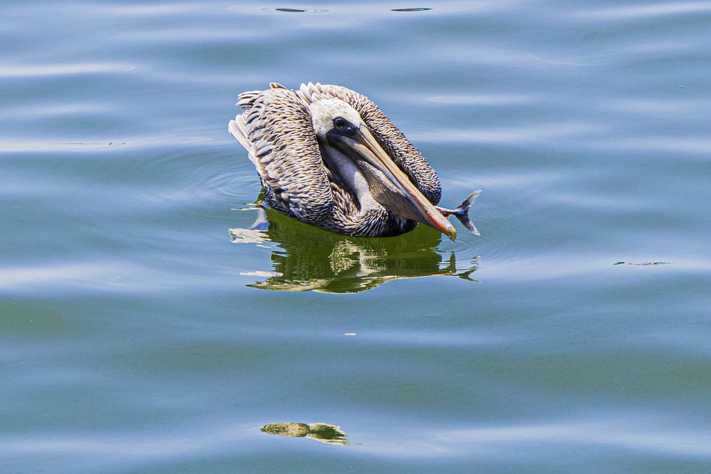 Photograph by Yenia Leyva