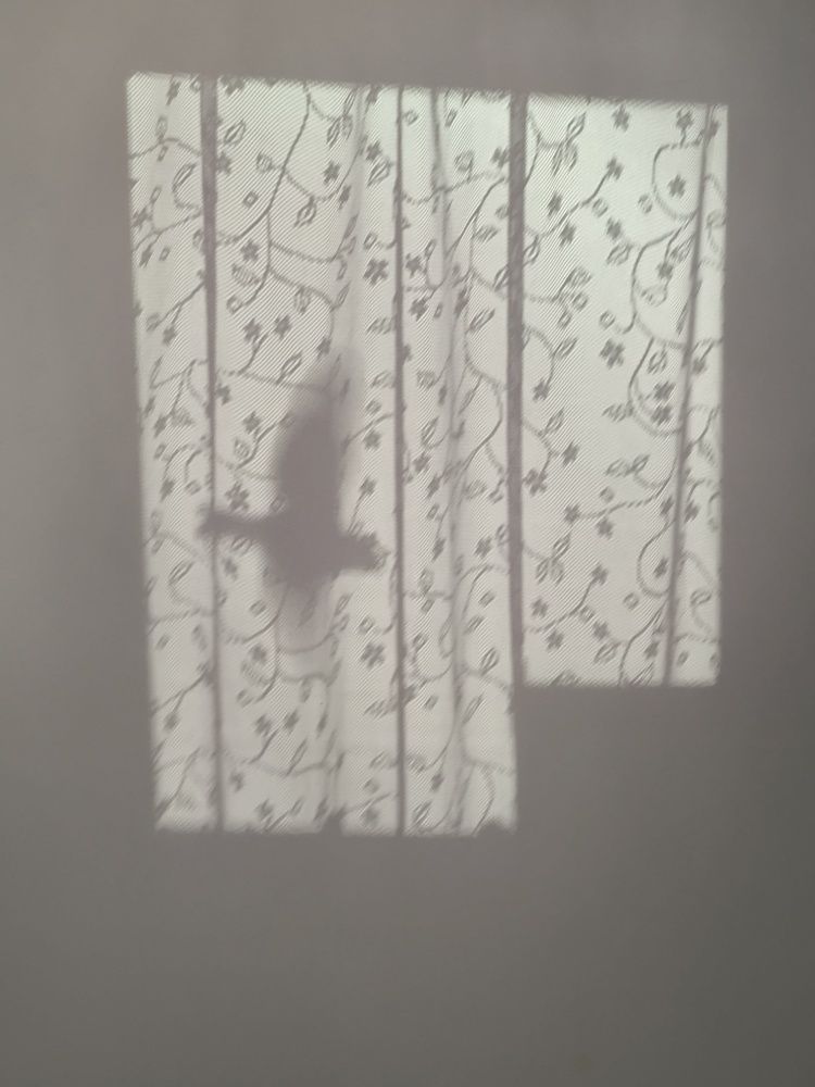Photograph by Ольга Каменская