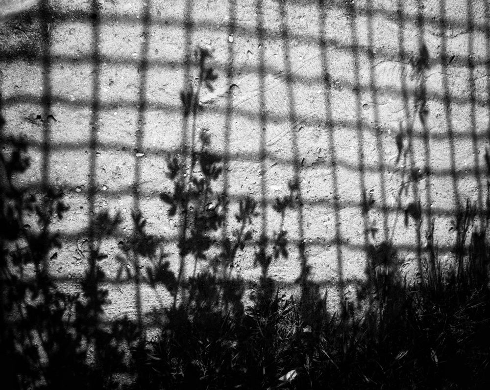 Photograph by Ольга Каменская