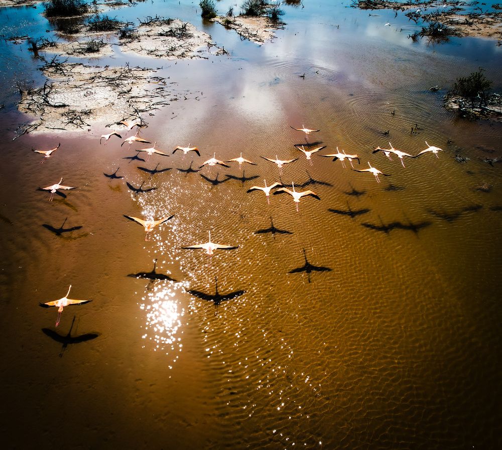 Фотография автора fabio chiari