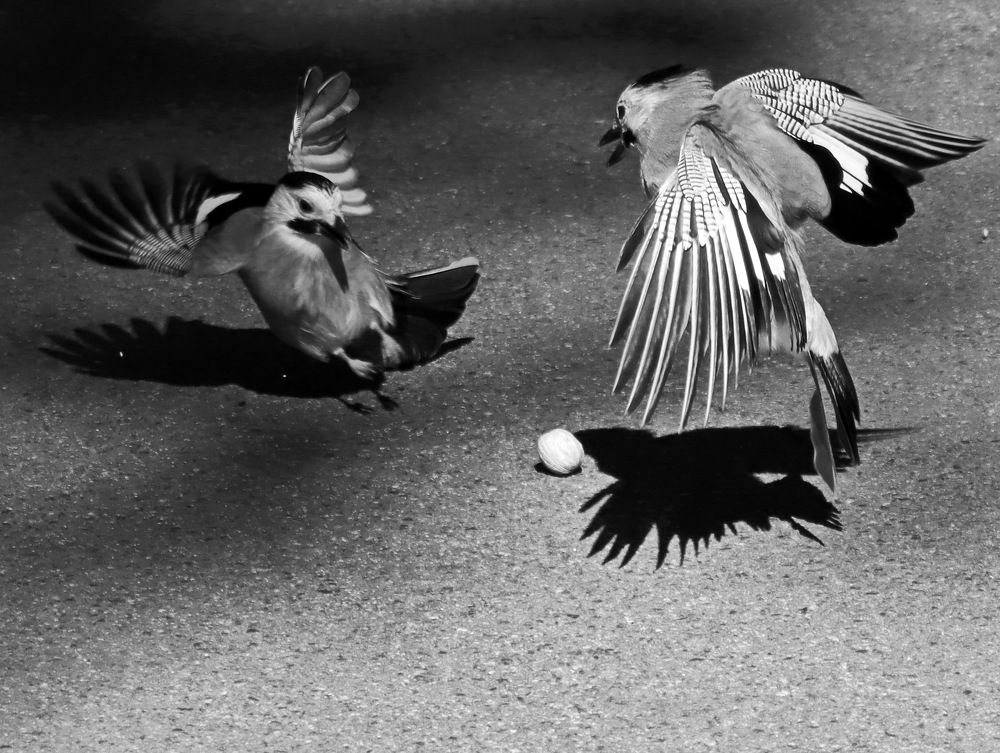 Фотография автора Сергей Маслов