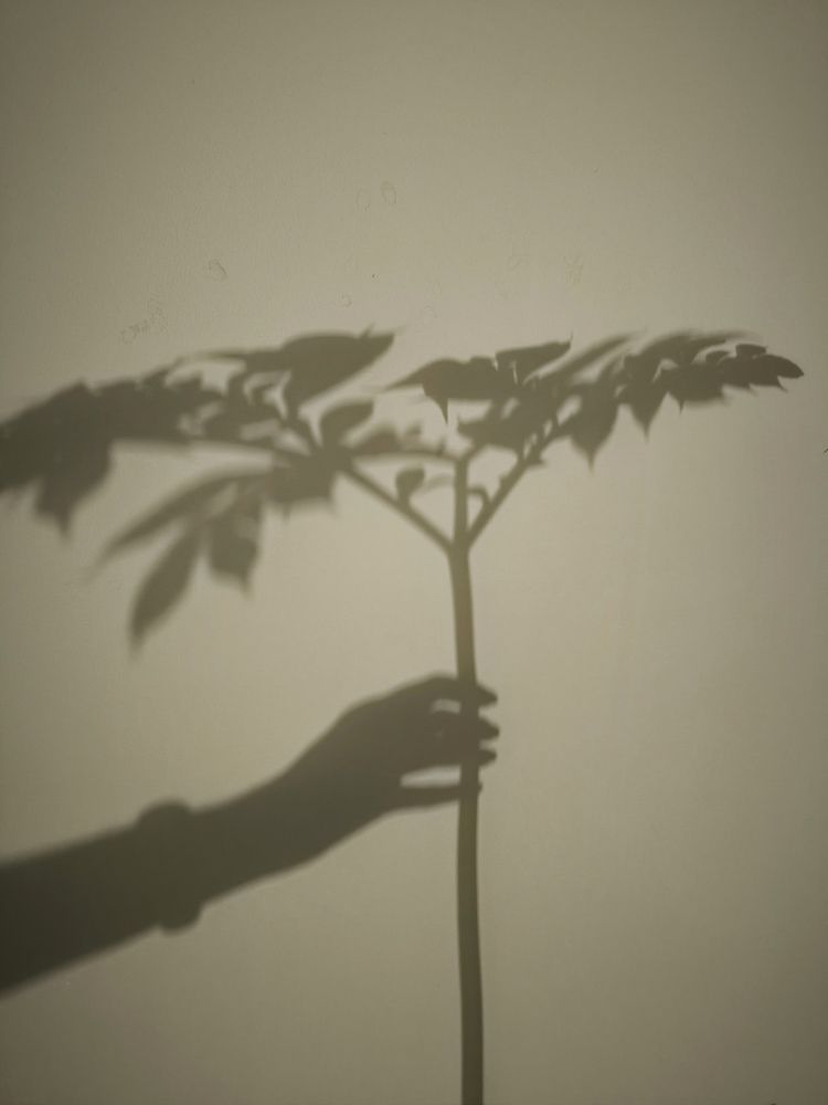 Photograph by Ольга Каменская