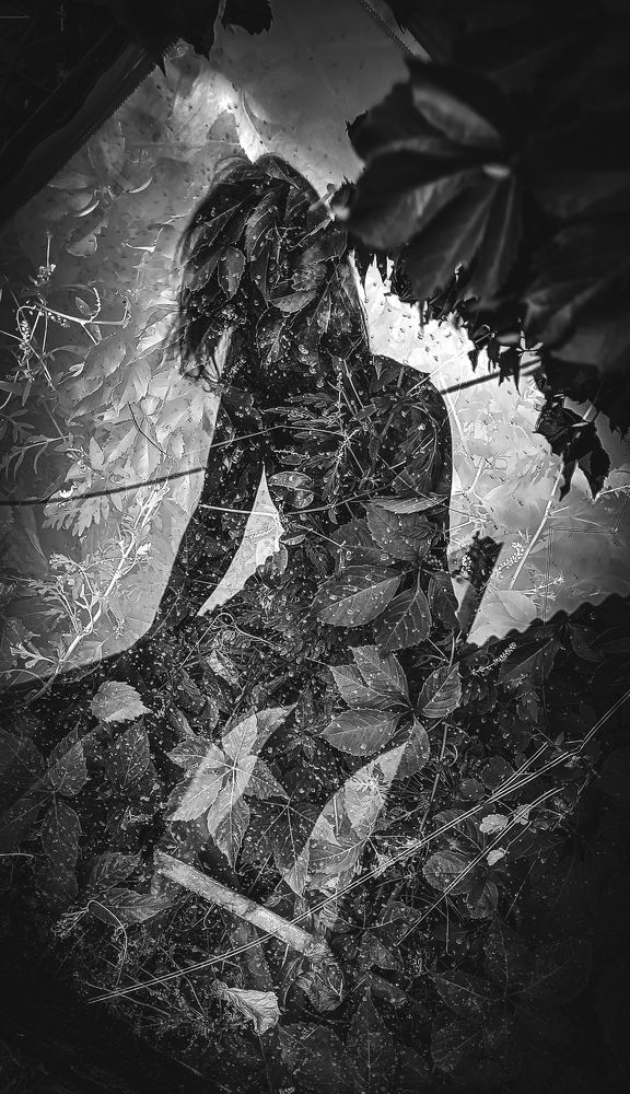 Фотография автора Наталья Алексеева