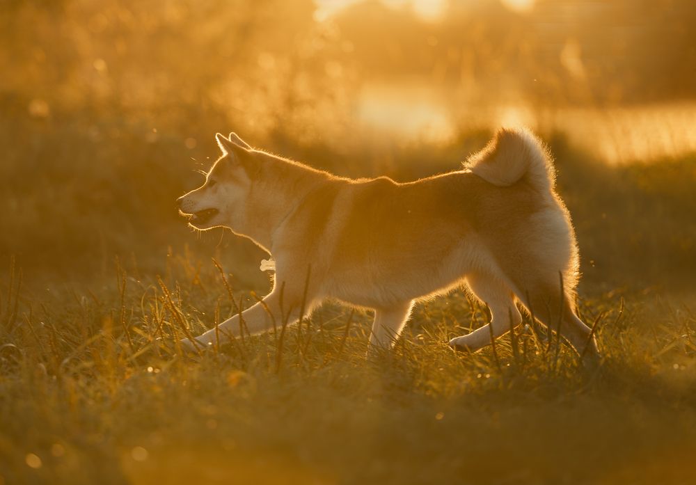 Photograph by Светлана Степашина