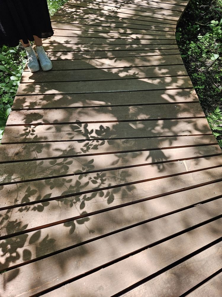 Photograph by Любовь Ершова