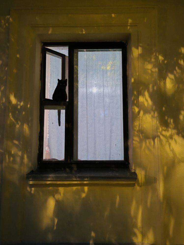 Photograph by Ольга Каменская