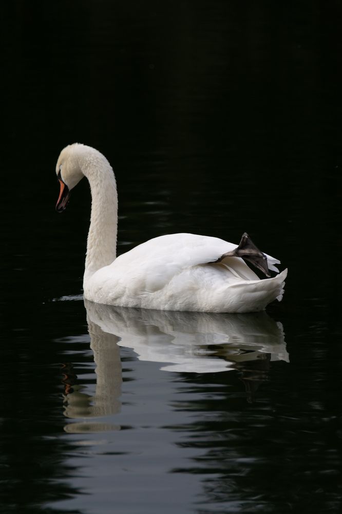 Photograph by Ольга