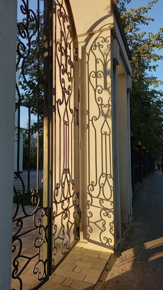 Photograph by Надежда Васильева