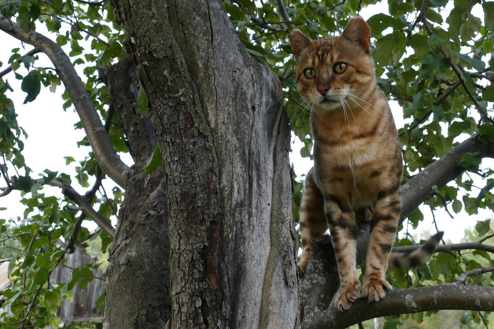 Photograph by Александр Кизим