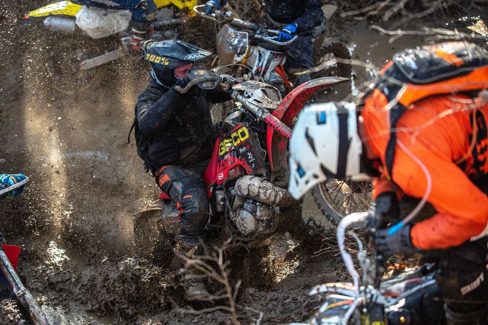 Photograph by Николай Кононов