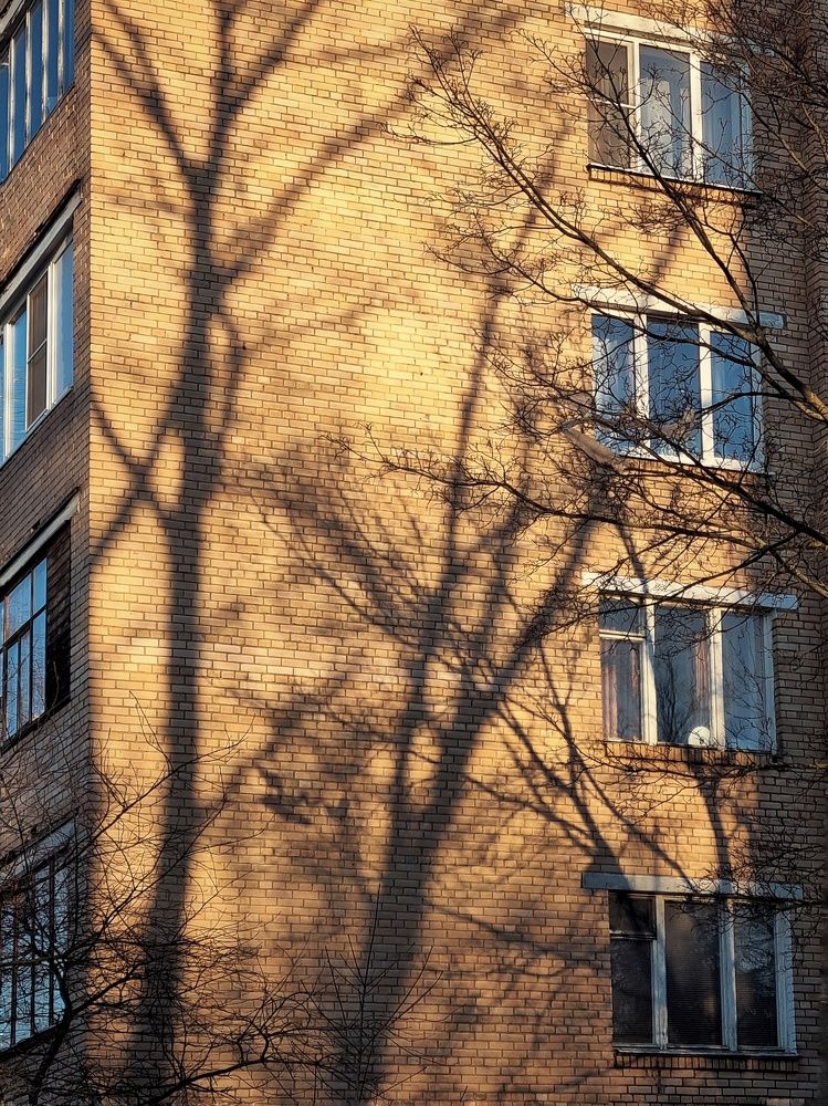 Photograph by Ольга Воронцова