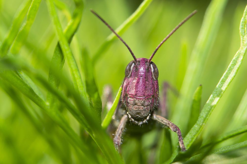 Photograph by Ольга Гоглова