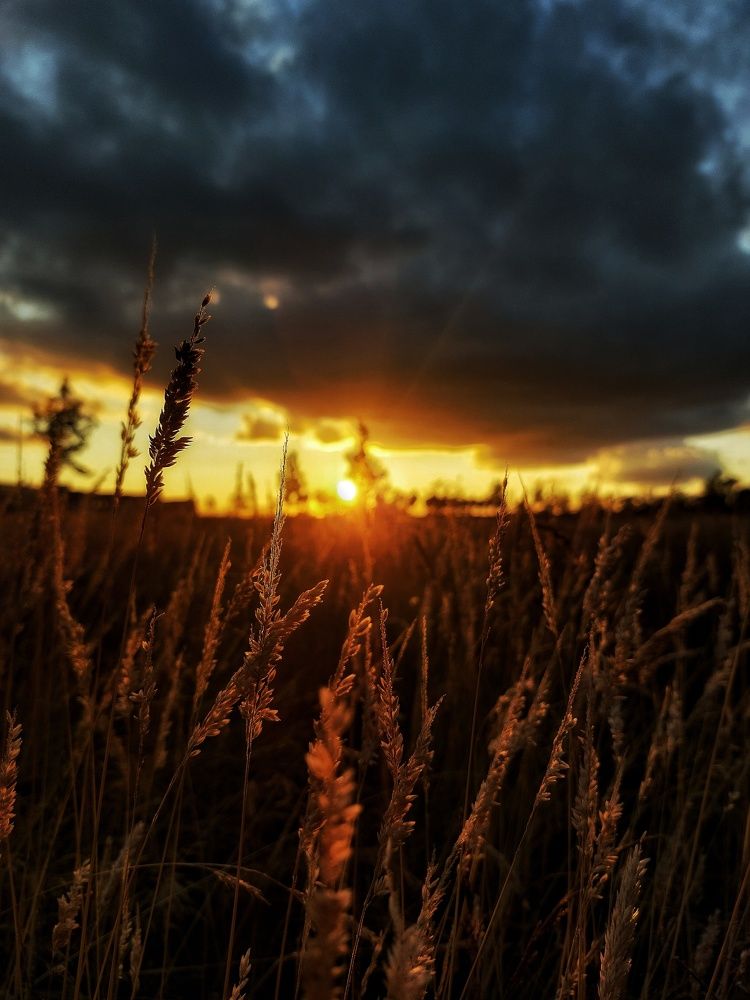 Photograph by Chinmaya Patil