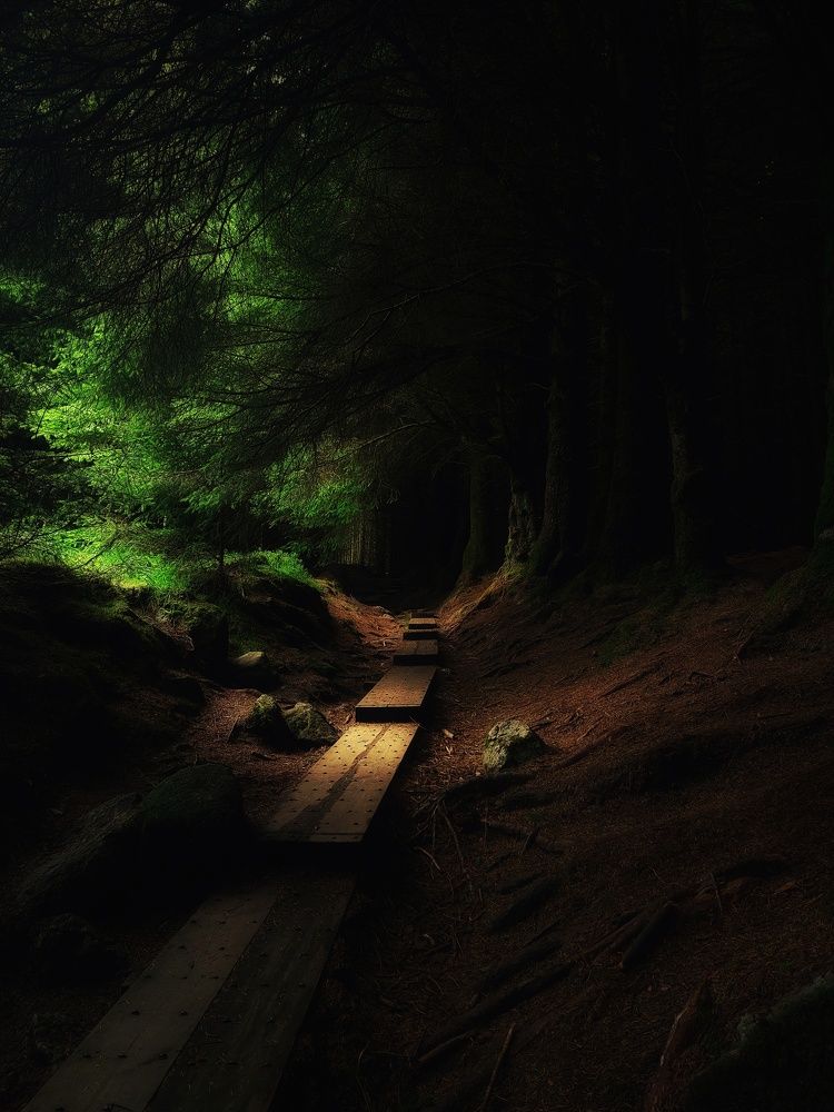 Photograph by Chinmaya Patil