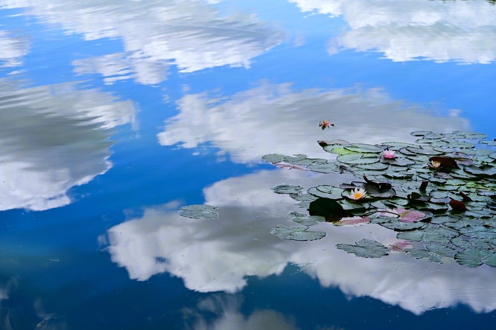 Photograph by Наталья Сергеева