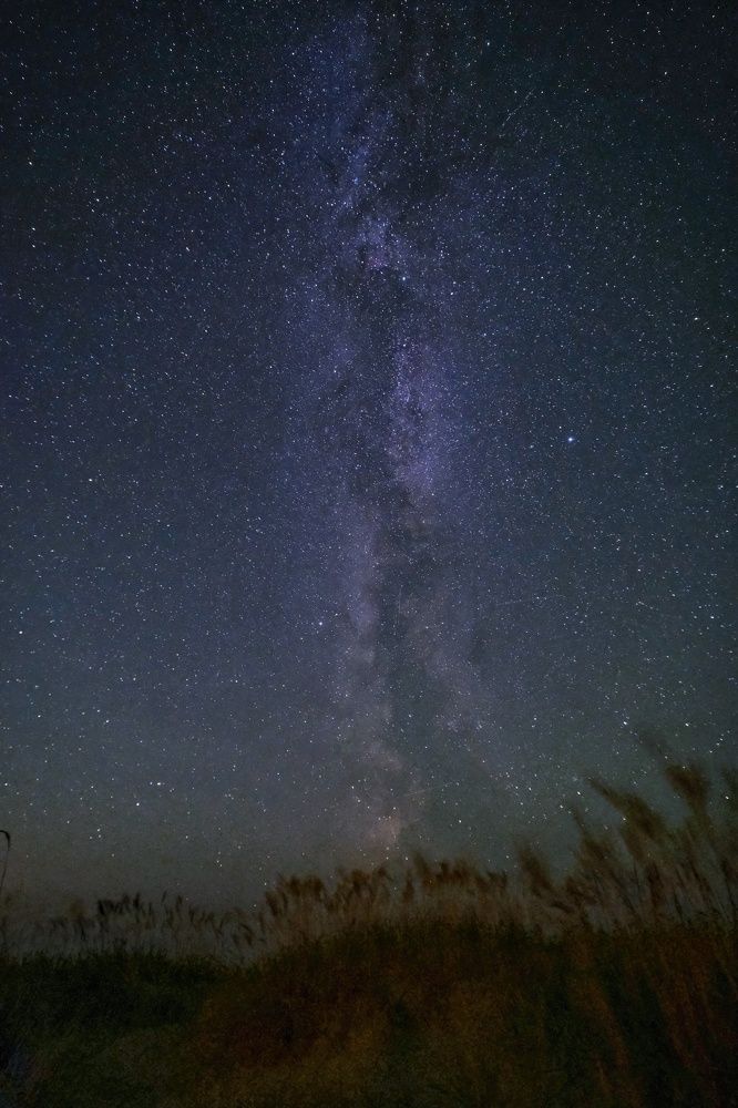 Фотография автора Elvijs Kalnins