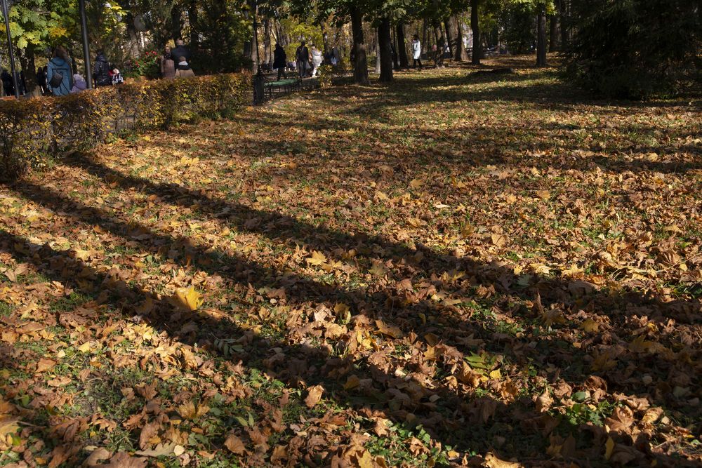 Photograph by Светлана Зайкова