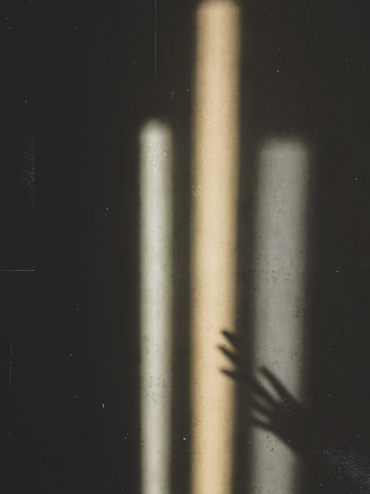 Photograph by Елена Квинт