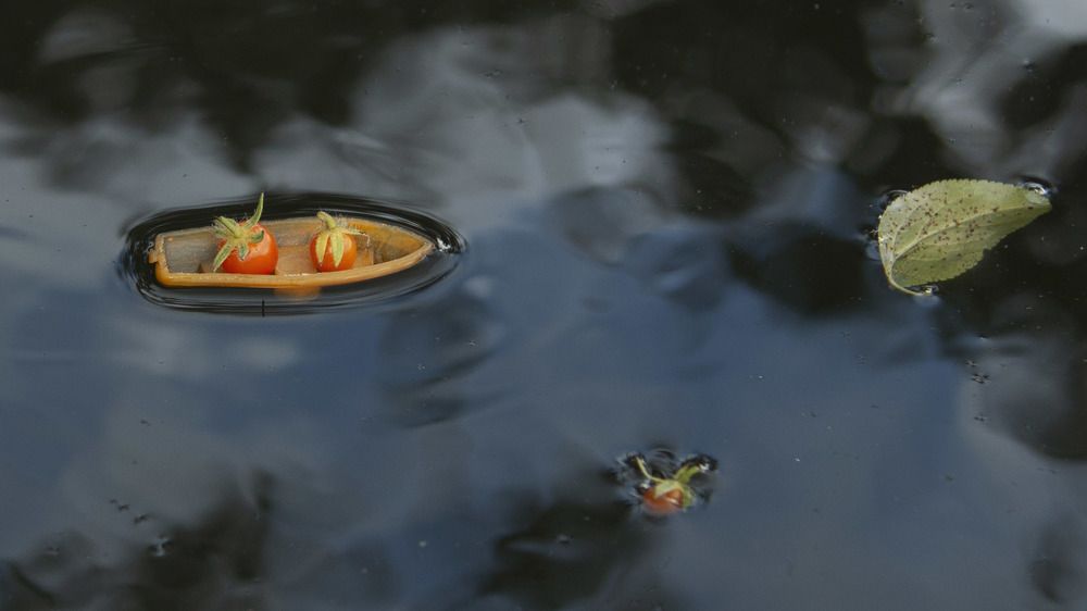 Третий лишний